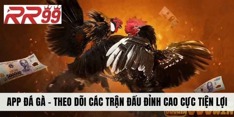 App Đá Gà - Theo Dõi Các Trận Đấu Đỉnh Cao Cực Tiện Lợi