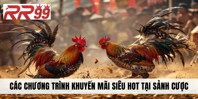 Các chương trình khuyến mãi siêu hot tại sảnh cược