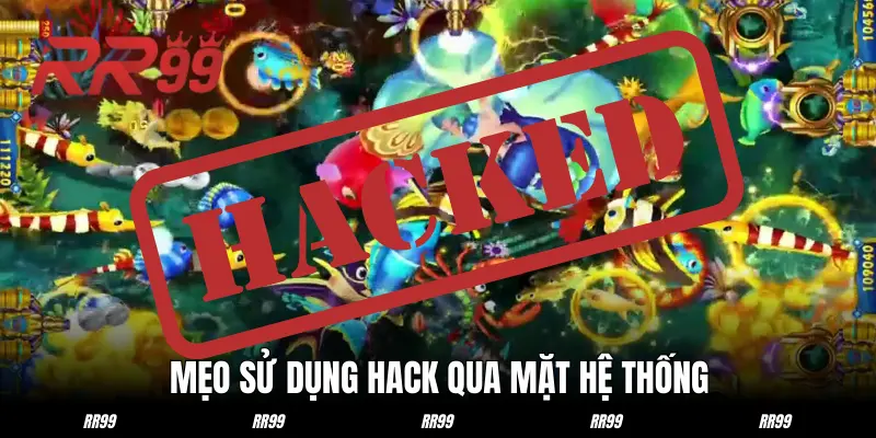 Mẹo khiến trải nghiệm bắn cá của bạn dễ dàng hơn