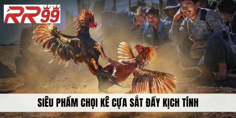 Siêu phẩm chọi kê cựa sắt đầy kịch tính