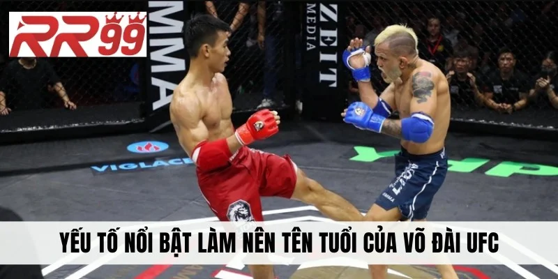 Yếu tố nổi bật làm nên tên tuổi của võ đài UFC